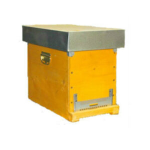 Arnia montata in legno da 6 telaini