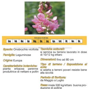 Seme di Lupinella - 10 Kg